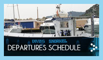 Departures schedule