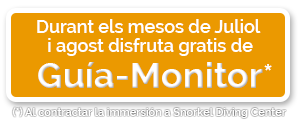 Els mesos de juliol i agost, disfruta de franc de Guia-Monitor al contractar la immersió a Snorkel Diving Center
